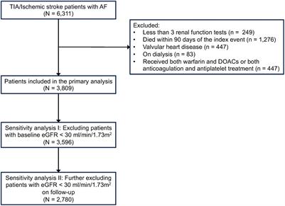 Impact of renal function variability on long-term prognosis in ischemic stroke patients with atrial fibrillation